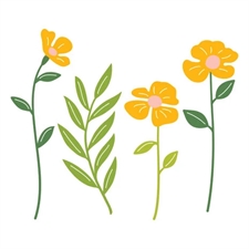 Spellbinders Dies - Poppy Song / Leaf & Bloom